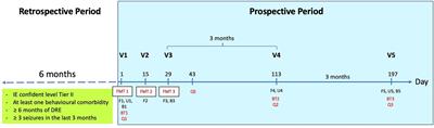 Behavioral comorbidities treatment by fecal microbiota transplantation in canine epilepsy: a pilot study of a novel therapeutic approach